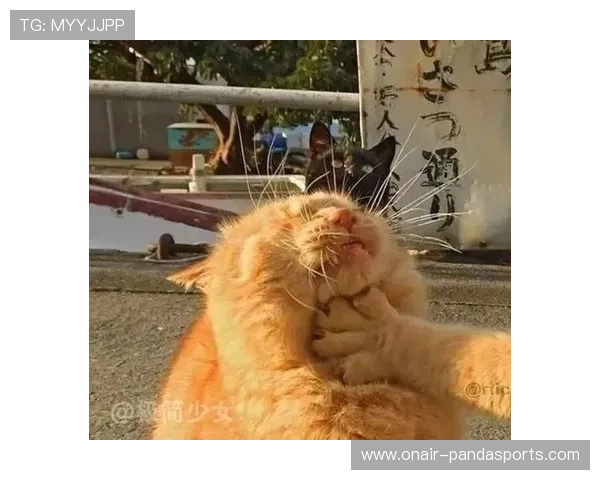 足球明星情侣头像，搞怪逗比瞬间，甜蜜与幽默并存的完美搭配