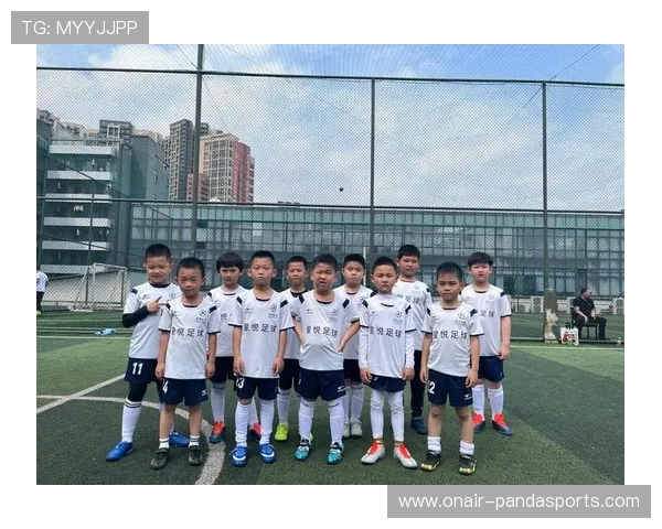 足球球星的文化素养与教育背景分析探讨